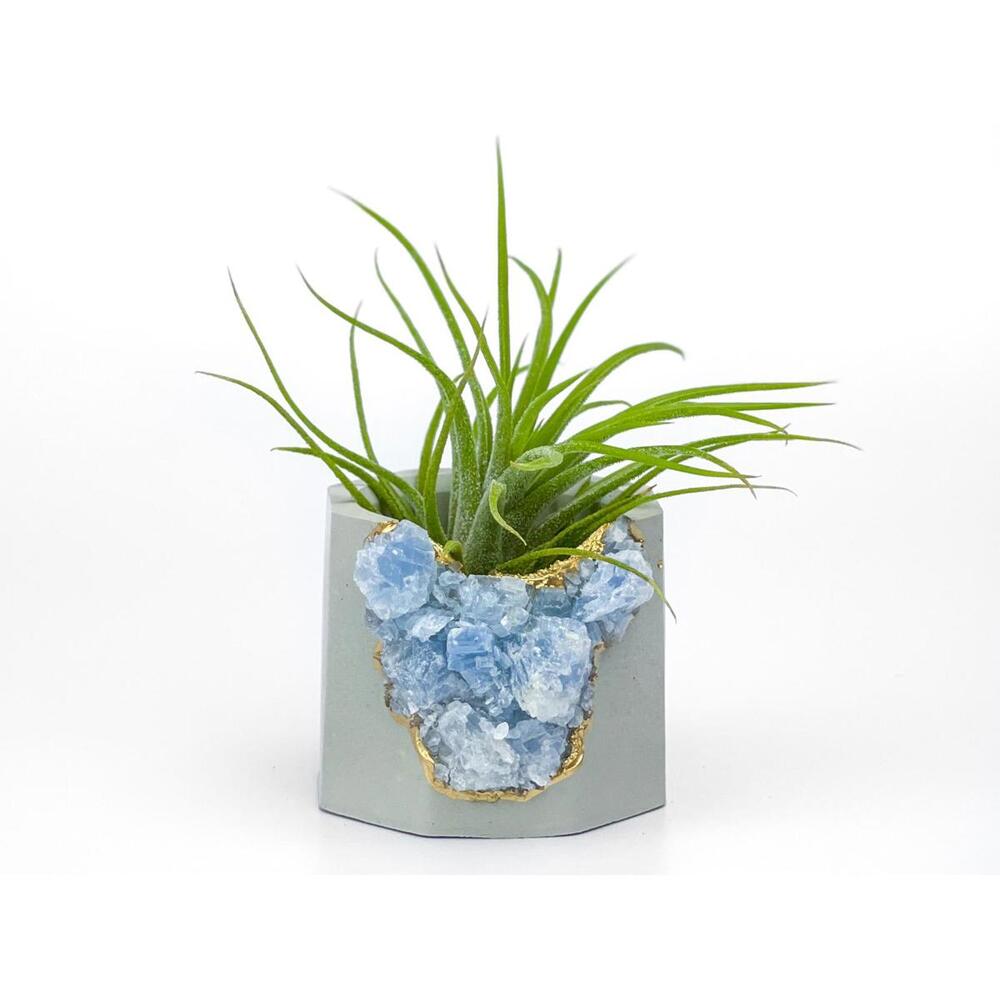 Succulent Crystal Planter | Geode Planter | Raw Blue Calcite - Picture 5 of 9
